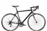 Trek 2.1 Apex (2012)